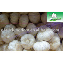 new crop 5.0cm fresh pure white garlic